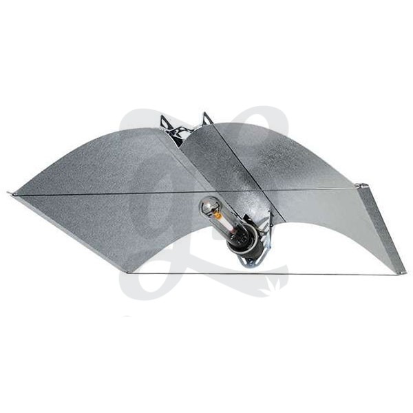Azerwing Medium 55-A Prima Klima
