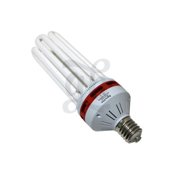 CFL Agrolite Basse Consommation - Floraison