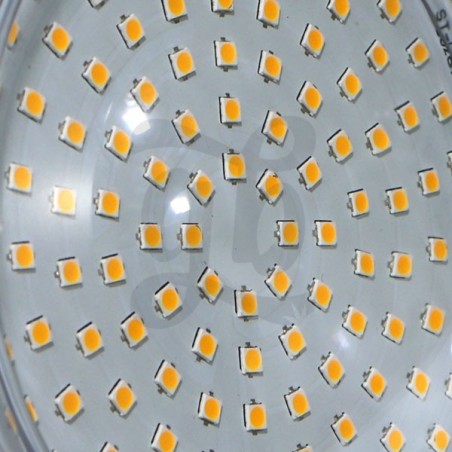 LEDs de cerca