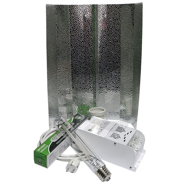 600w Platinum Lighting Kit