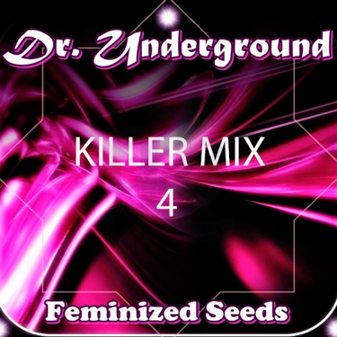 Killer Surprise Mix 4