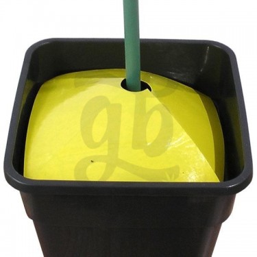 Sticky Trap for Soil Insects