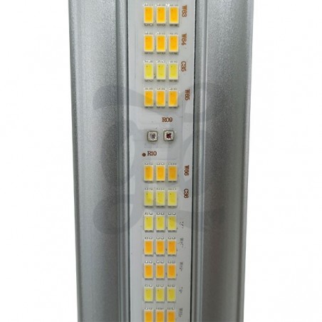 Galaxy 1800E 630w Solux LED - LED type
