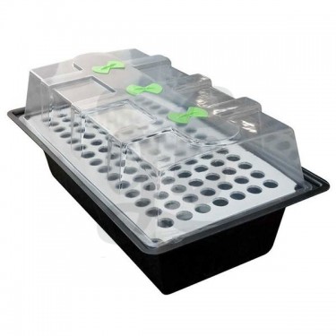 120 alveolos X-Stream