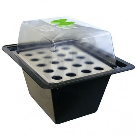 Propagateur X-Stream 40 alvéoles Propagateur X-Stream 40 alvéoles