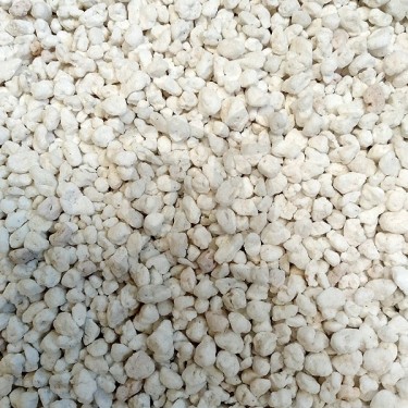 Perlita blanca