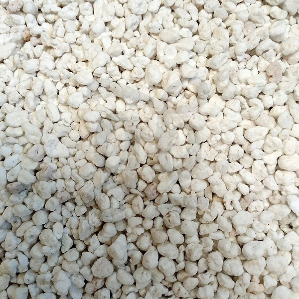 Perlita blanca