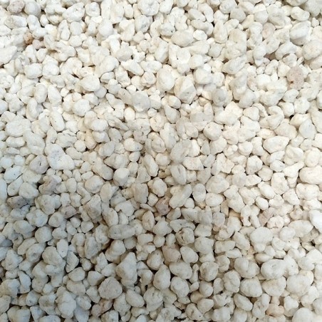 Perlita blanca Perlita blanca