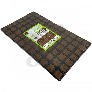 Bandeja Dried Eazy Plugs - 77 alveolos