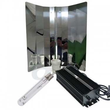 Stucco reflector with socket