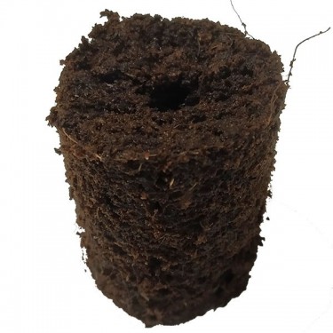 Pro Xtract Plug