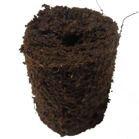 Pro Xtract Plug