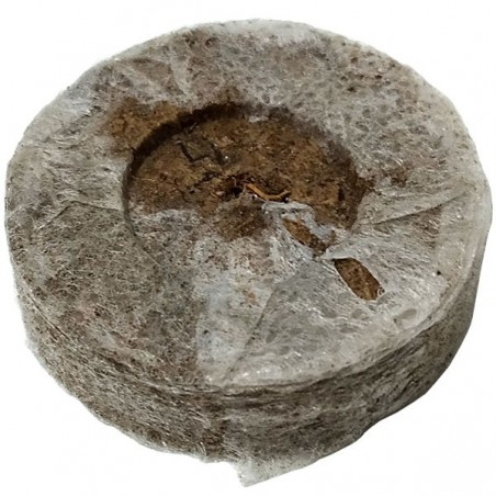 Jiffy7 de turba 24mm Jiffy7 de turba 24mm