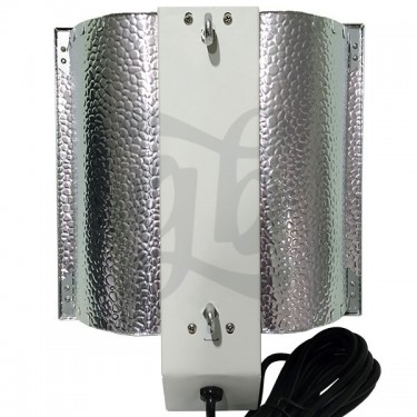 Kit de iluminação Lec Lumii 315w por trás