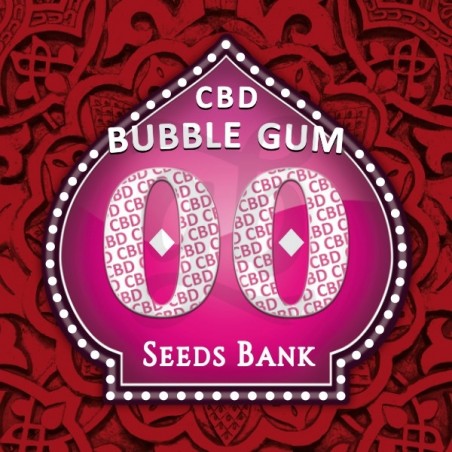 Bubble Gum CBD Bubble Gum CBD