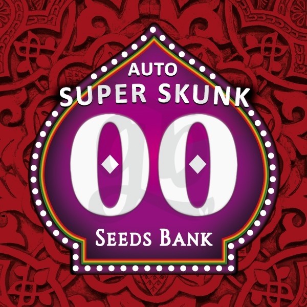 Auto Super Skunk planta de marihuana