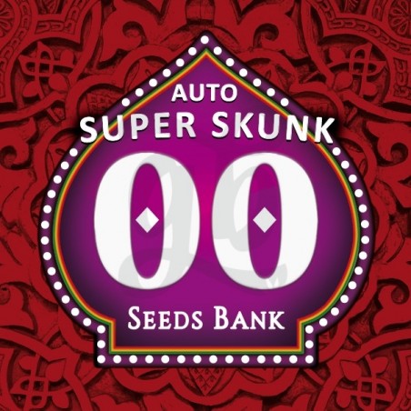 Auto Super Skunk planta de marihuana