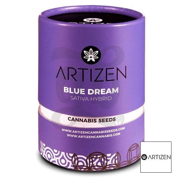 Blue Dream Plante de cannabis