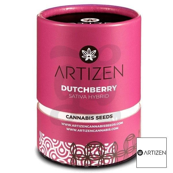 Dutchberry semilla de marihuana embalaje