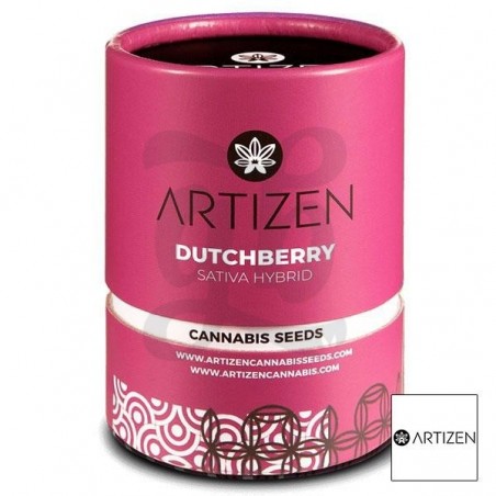 Dutchberry semilla de marihuana embalaje Dutchberry semilla de marihuana embalaje