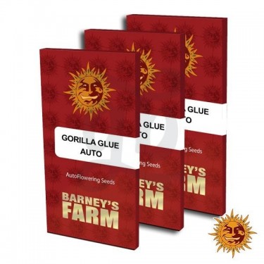Gorilla Glue Auto embalaje semillas