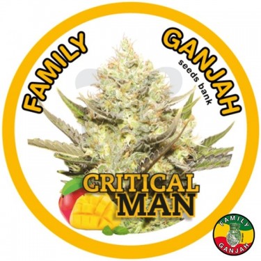 Planta de marihuana