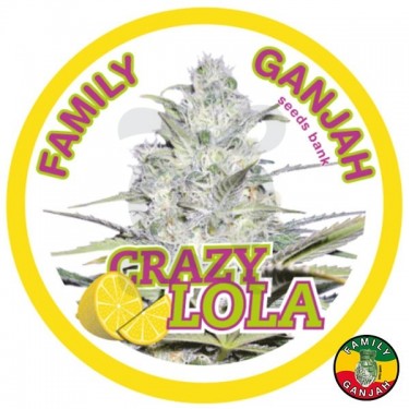 Crazy Lola planta de marihuana