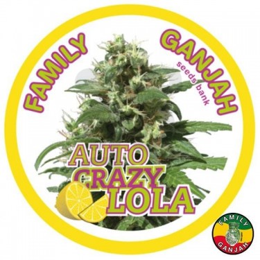 Planta de marihuana