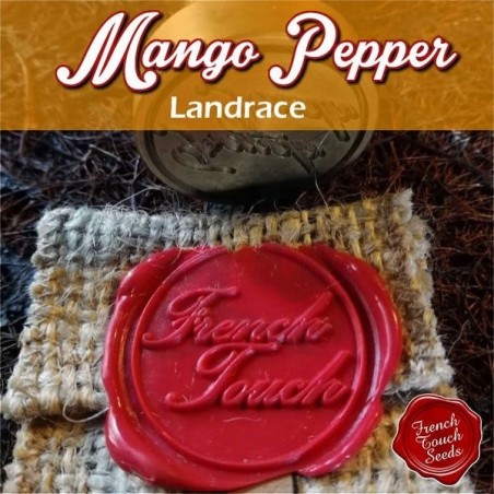 Mango Pepper Cannabis Seeds Mango Pepper Cannabis Seeds