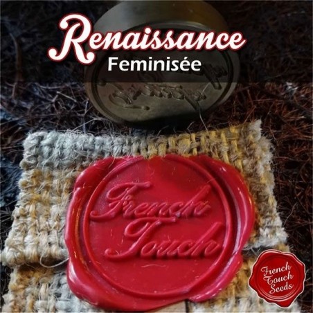 Renaissance Feminized Marijuana Logo Renaissance Feminized Marijuana Logo