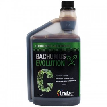 Bachumus Evolution C (Croissance)
