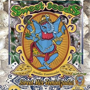 Sweet Mix Féminisées 10 graines