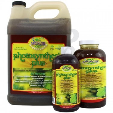 Photosynthesis Plus MicrobeLife Different Formats