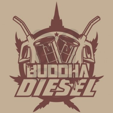 Buddha Diesel feminizada de Buddha Seeds - Grow Barato