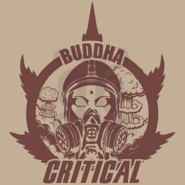 Buda Critical Feminized de Buddha Seeds - Crescer Barato