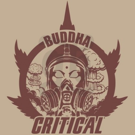 Buddha Critical feminizada de Buddha Seeds - Grow Barato Buddha Critical feminizada de Buddha Seeds - Grow Barato