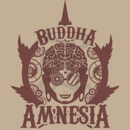 Buddha Amnesia feminizada de Buddha Seeds - Grow Barato Buddha Amnesia feminizada de Buddha Seeds - Grow Barato