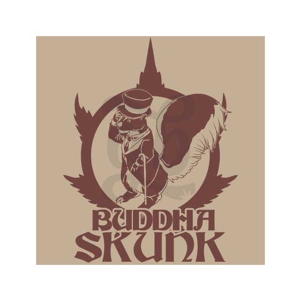 Buddha Seeds Skunk feminizadas - Crescer Barato