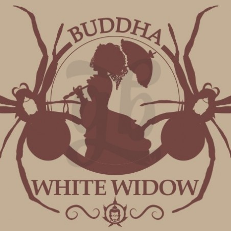 Buddha White Widow del banco Buddha Seeds - Grow Barato Buddha White Widow del banco Buddha Seeds - Grow Barato