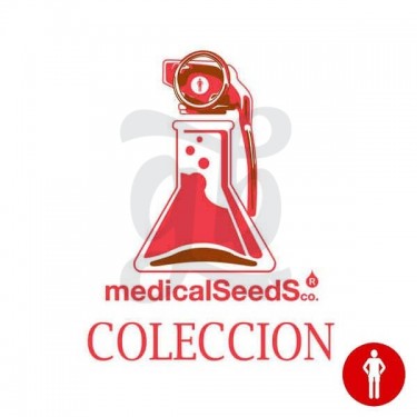 Colección 2 de Medical Seeds pack de semillas - Grow Barato