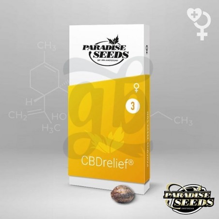 CBDrelief Paradise Seeds Semilla feminizada - Grow Barato