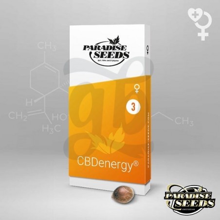 CBDenergy Paradise Seeds Semilla feminizada - Grow Barato