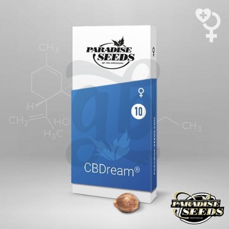 CBDream Paradise Seeds Semilla feminizada - Grow Barato