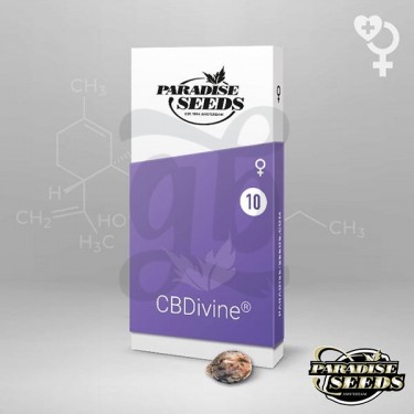 CBDivine Paradise Seeds semi femminizzati