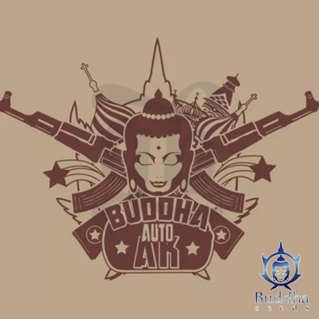 Buddha Seeds Auto AK de Buddha Seeds - Crescer Barato Buddha Seeds Auto AK de Buddha Seeds - Crescer Barato