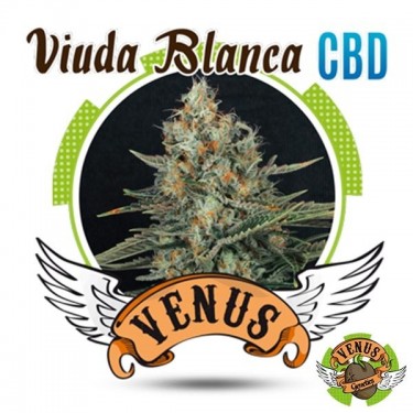 Semillas Viuda Blanca CBD de Venus Genetics - Grow Barato