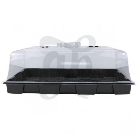 Propagatore box in plastica morbida per radicazione talee Propagatore box in plastica morbida per radicazione talee