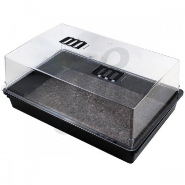 Hard Plastic Propagator 1