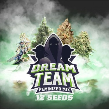 Semillas Dream Team Mix de BSF Seeds - Grow Barato