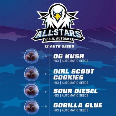 All Star USA Automix